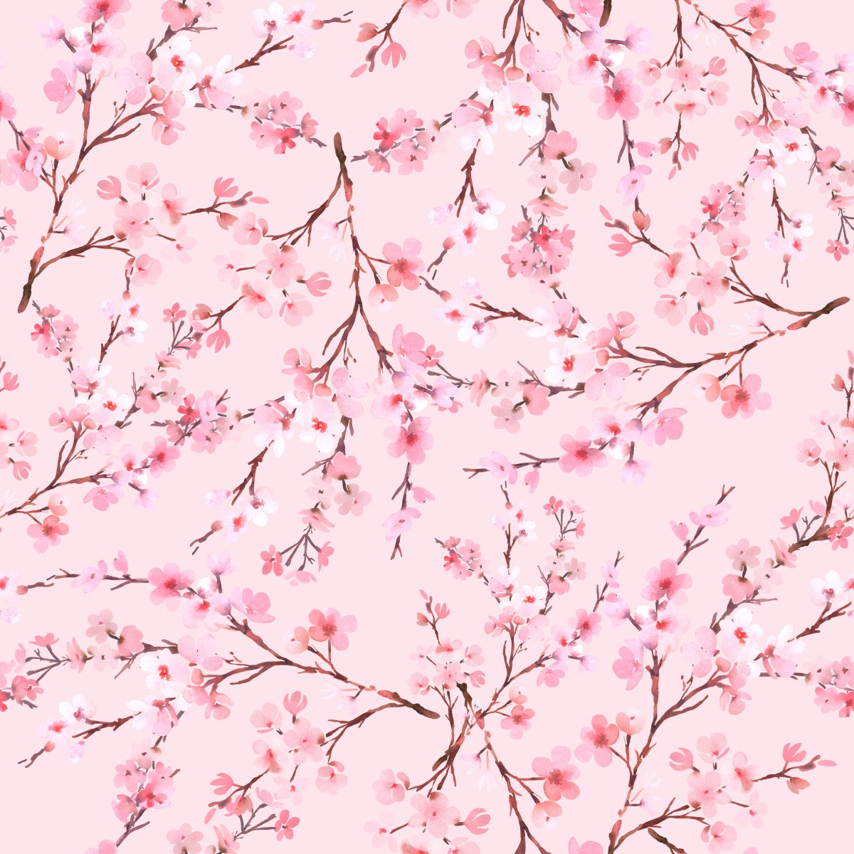 CaralimaDesigns's tweet photo. Pretty cherry blossom wallpaper to brighten any room. Available in my #spoonflowershop. 🌸🌸🌸🌸 https://t.co/VRm3zpf235