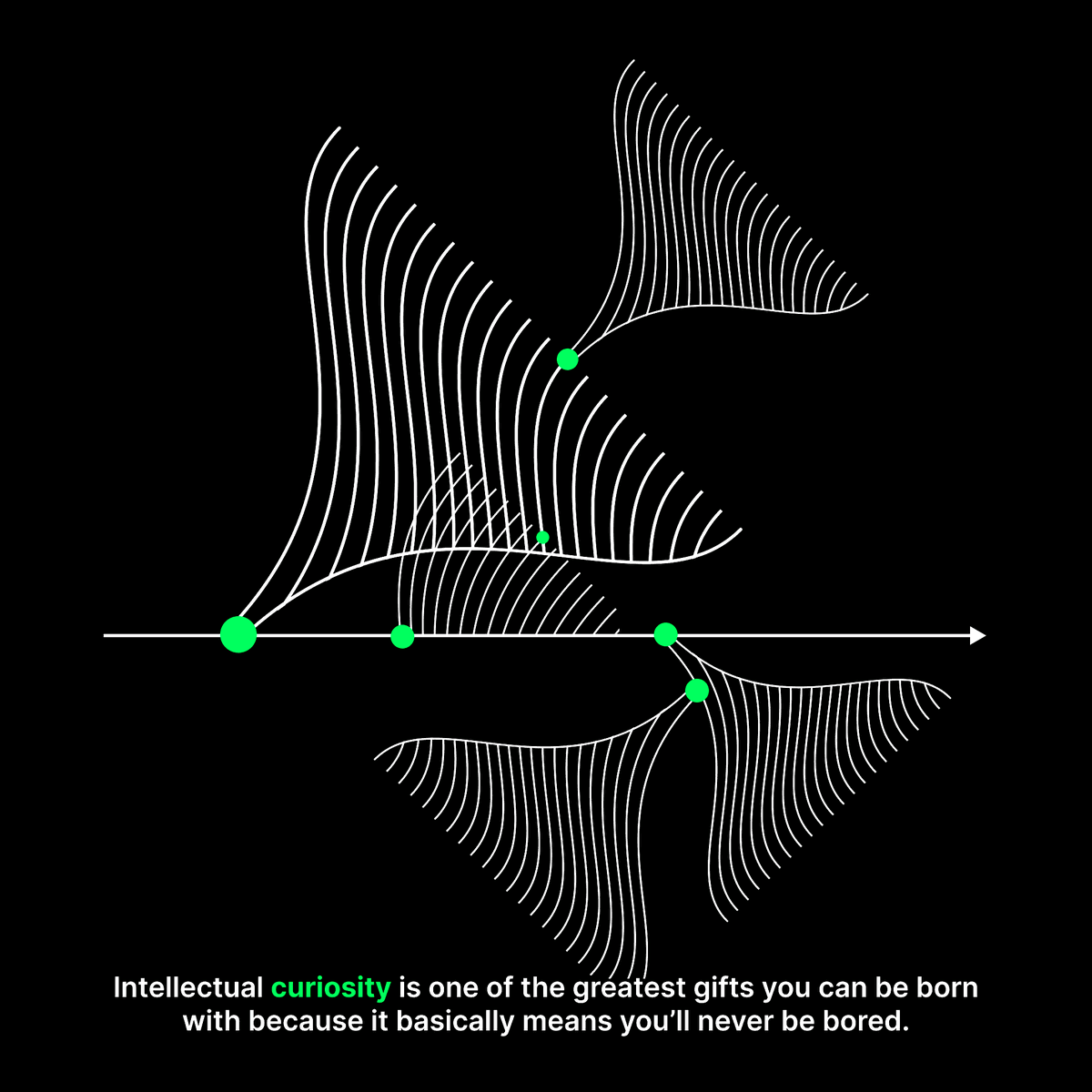 Intellectual curiosity is one of the greatest gifts you can be born with because it basically means you’ll never be bored - <a href="/david_perell/">David Perell</a>