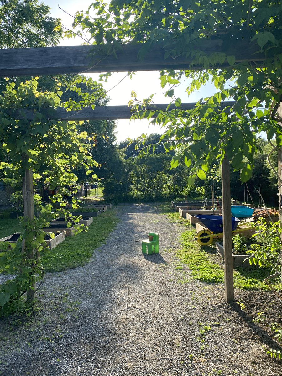TodaysFamilyOnt's tweet photo. Welcome to Marni’s Community Garden. A place to grow, care & share in #Gilkson. Open to All.
Named after our retired CEO, @MarniFlaherty in recognition of her 33 years of growing #childcare in our communities 🪴 https://t.co/nkBfC08DAr