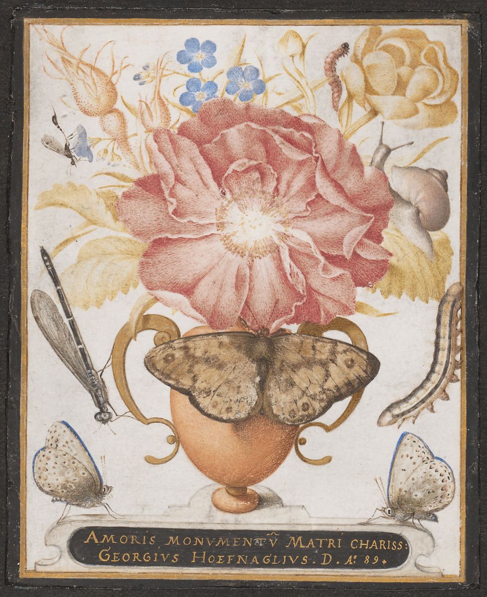 SamuelMareel's tweet photo. The wonderful life of artworks: Joris Hoefnagel made this still-life for his mother. Through the marriage of Hoefnagel's granddaughter Susanna with Christiaan Huygens it came into the Huygens family and was owned by the poet Constantijn Huygens (Met, New York, 2008.110) https://t.co/B2imGsL7x3
