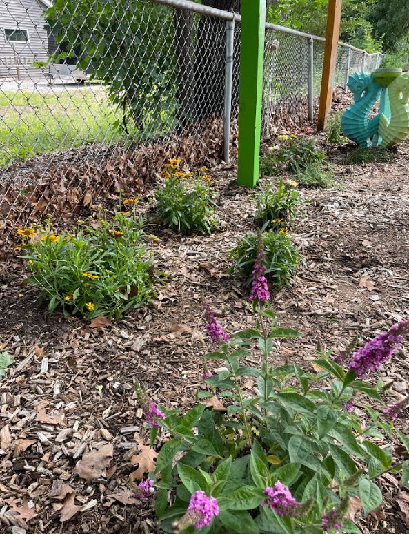 ghapspeach's tweet photo. Panther alum &amp; GHHS student Gabe Hardebeck completed his Eagle Scout project! He committed to enhancing Shelby's Garden, by adding fresh plants &amp; irrigation. This will be enjoyed by ALL! Thank you Gabe &amp; volunteers! @ghhsbucs @ghschools  @boyscouts #doagoodturndaily #service https://t.co/Y7lnO6eS6i