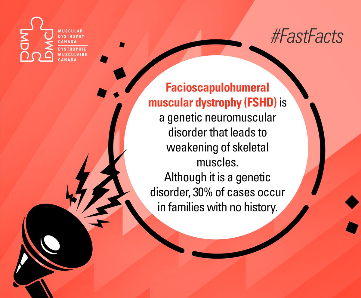 MD_Canada's tweet photo. [1/2]
Today is #WorldFSHDDay – a day to raise awareness of facioscapulohumeral muscular dystrophy (FSHD). In an effort to do just that, here are some interesting #FastFacts. Please share with friends and family!

#FSHD #FacioscapulohumeralMuscularDystrophy #FSHDAwareness https://t.co/wDlL2PzYqW