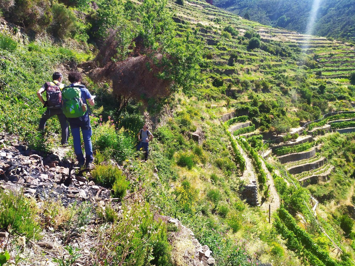 stonewalls4life's tweet photo. Continuano le indagini geologico-tecniche da parte dei ricercatori di @UniGenova per approfondire il ruolo della #manutenzione e del recupero dell'ambiente terrazzato per far fronte ai problemi derivanti dal #cambiamentoclimatico.
@parco5terre @LIFEprogramme https://t.co/xjSyeUsM7d