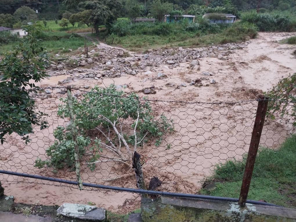 Sofi_256lp's tweet photo. Ante las afectaciones ocurridas en el municipio Zea por las fuertes lluvias del día de ayer, funcionarios del Cuerpo de Bomberos y Protección Civil, cumpliendo con las políticas en materia de seguridad emanadas por el gobernador @JEHYSONGUZMAN...

1/2

#SomosPatriaSoberana https://t.co/zx1RHs61dC