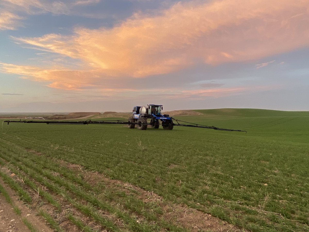 Riley Emmel tweet media