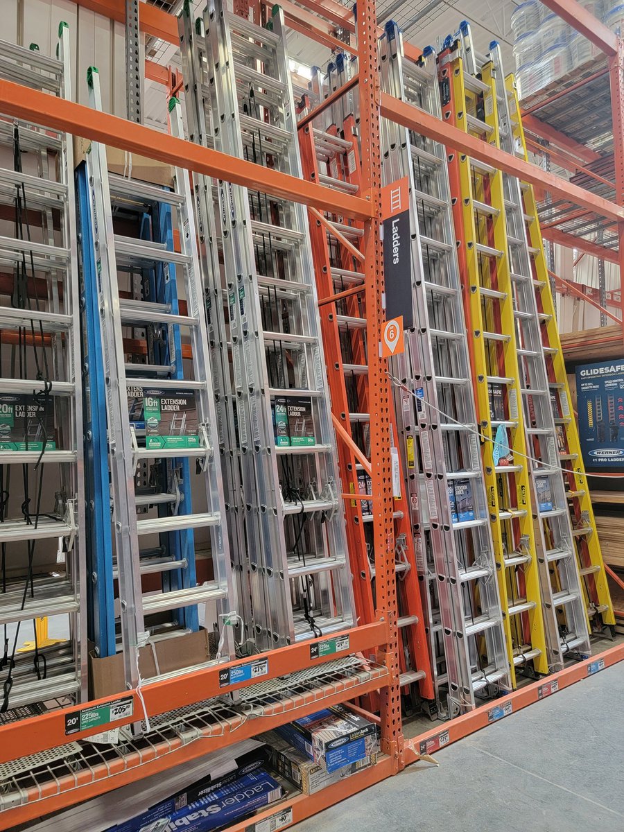 Ayla Gabriel tweet media