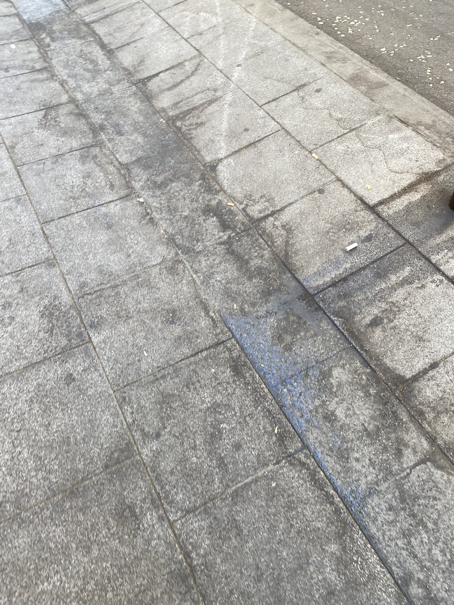 neusparce's tweet photo. Ara mateix la situació de les voreres de Barcelona és aquesta. Greu en higiene i sanejament, i més encara amb la calor. @bcn_ajuntament https://t.co/SUH6CrS2js