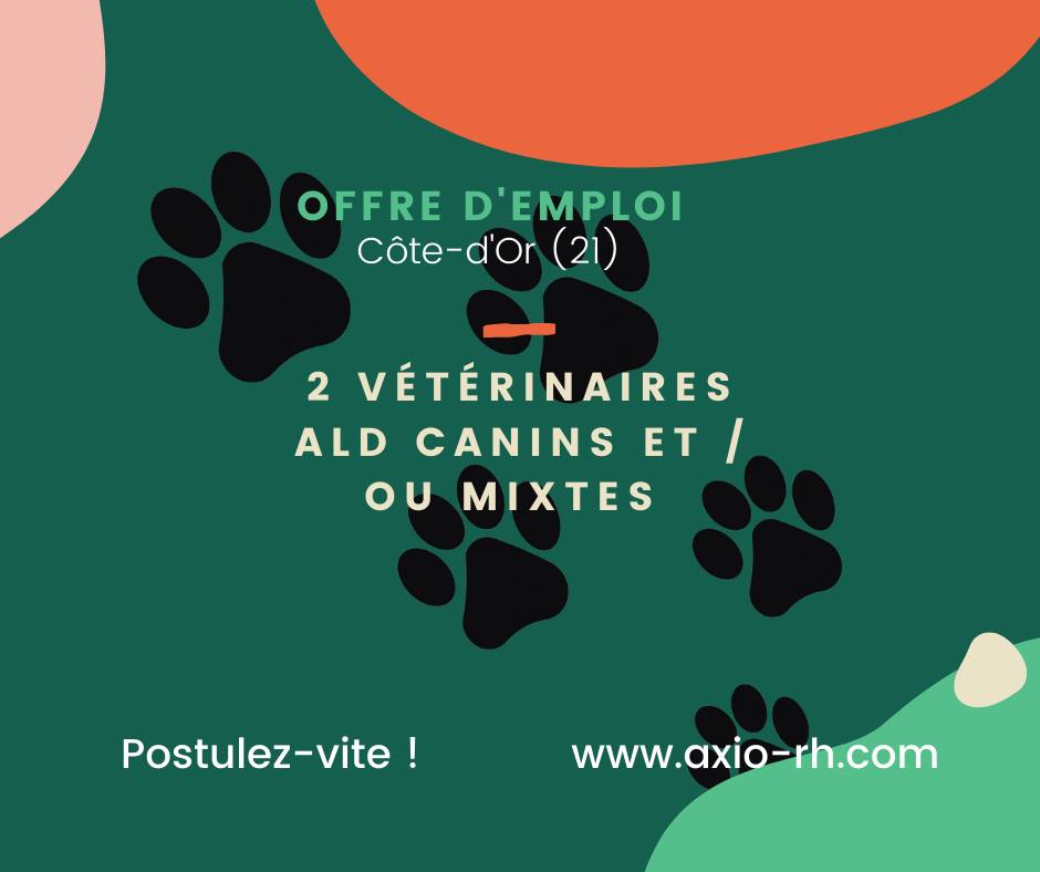 RhAxio's tweet image. DEUX VETERINAIRES ALD TOUS PROFILS CANINS PURS ET / OU MIXTES recherchés dans le département Côte d'Or (21) !
Lien vers notre annonce : bit.ly/3usWEtr