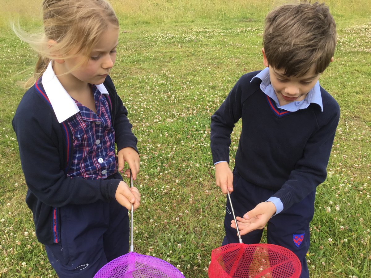 OPS_OratoryPrep's tweet image. What a lovely day to go bug catching!

Year 3 had great fun bug catching with mini beast nets on our meadow field today. We found a number of different butterflies including a great white, common blue and red admiral and some rather large stag beetles.

#OPSLearning #Year3
