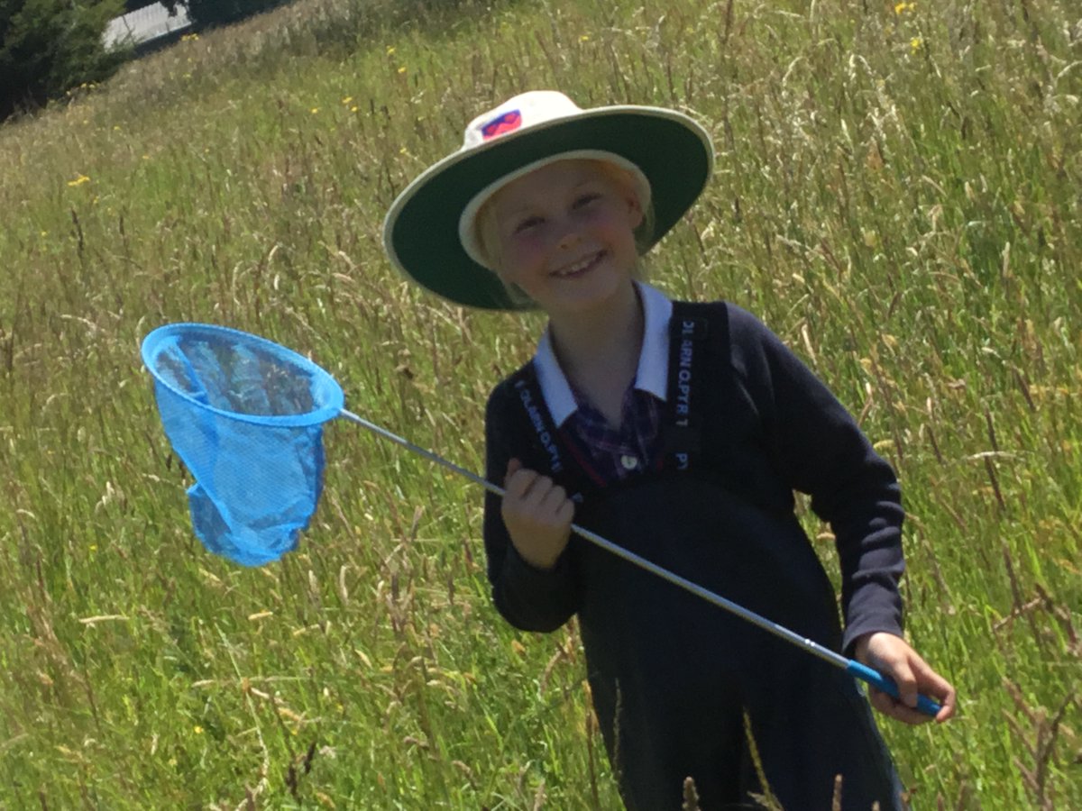 OPS_OratoryPrep's tweet image. What a lovely day to go bug catching!

Year 3 had great fun bug catching with mini beast nets on our meadow field today. We found a number of different butterflies including a great white, common blue and red admiral and some rather large stag beetles.

#OPSLearning #Year3