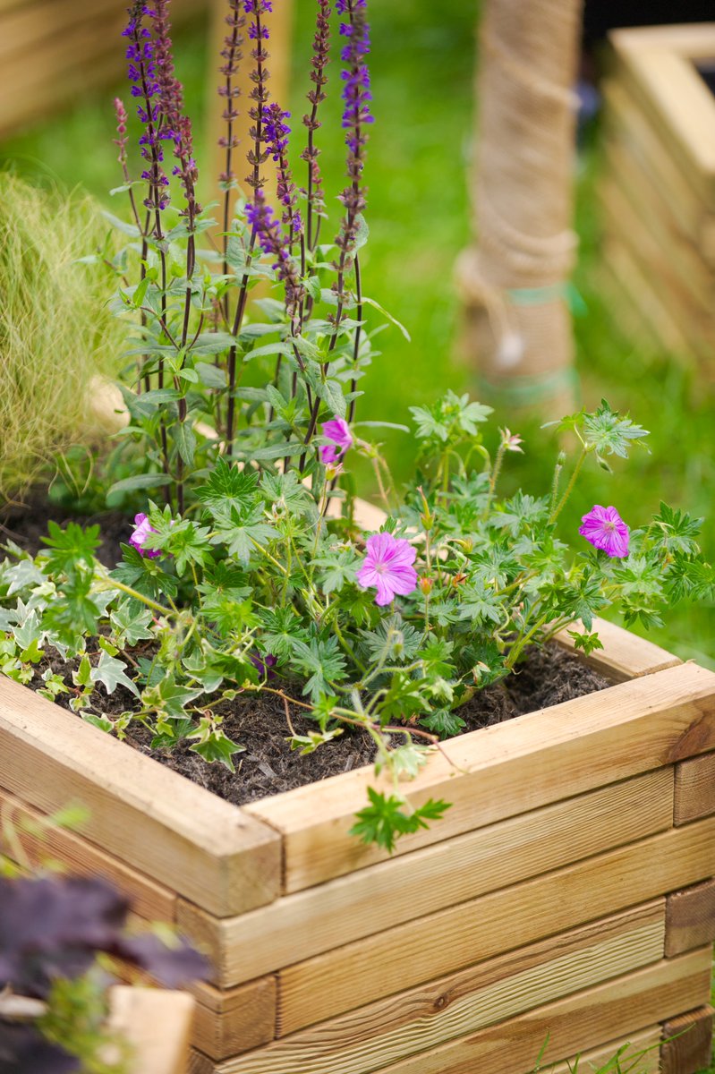SMGrowingSpaces's tweet photo. Some lovely photos of the planters we created with residents on the High Path Estate as part of the Balcony Gardens Project. Funded by Clarion Futures, we are supporting residents to green up their balconies😍@SustainableMert #balconygardens https://t.co/azaRdQ0JQv