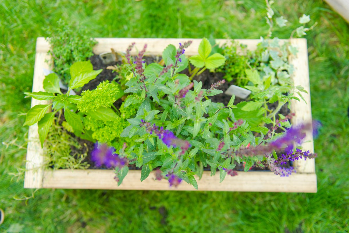SMGrowingSpaces's tweet photo. Some lovely photos of the planters we created with residents on the High Path Estate as part of the Balcony Gardens Project. Funded by Clarion Futures, we are supporting residents to green up their balconies😍@SustainableMert #balconygardens https://t.co/azaRdQ0JQv