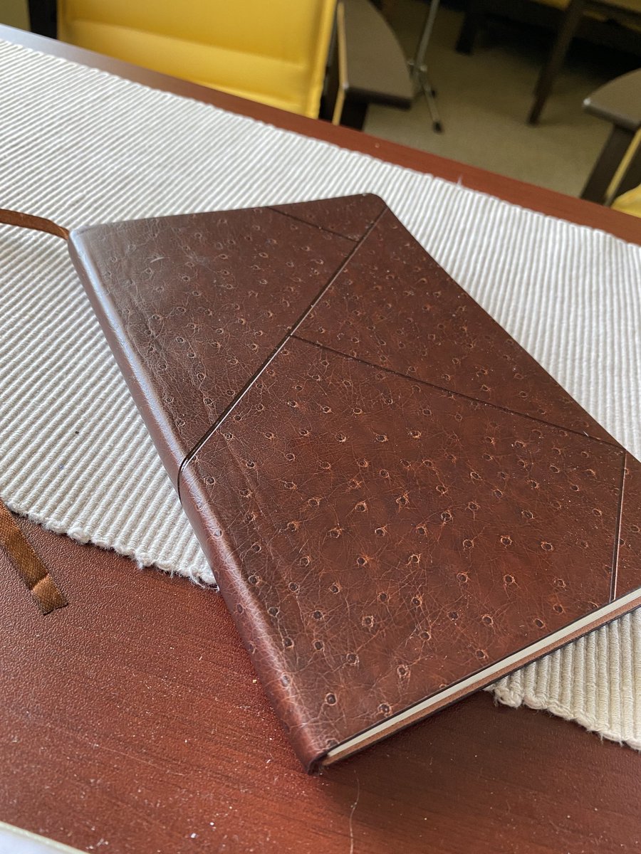 Lisa Meade tweet media