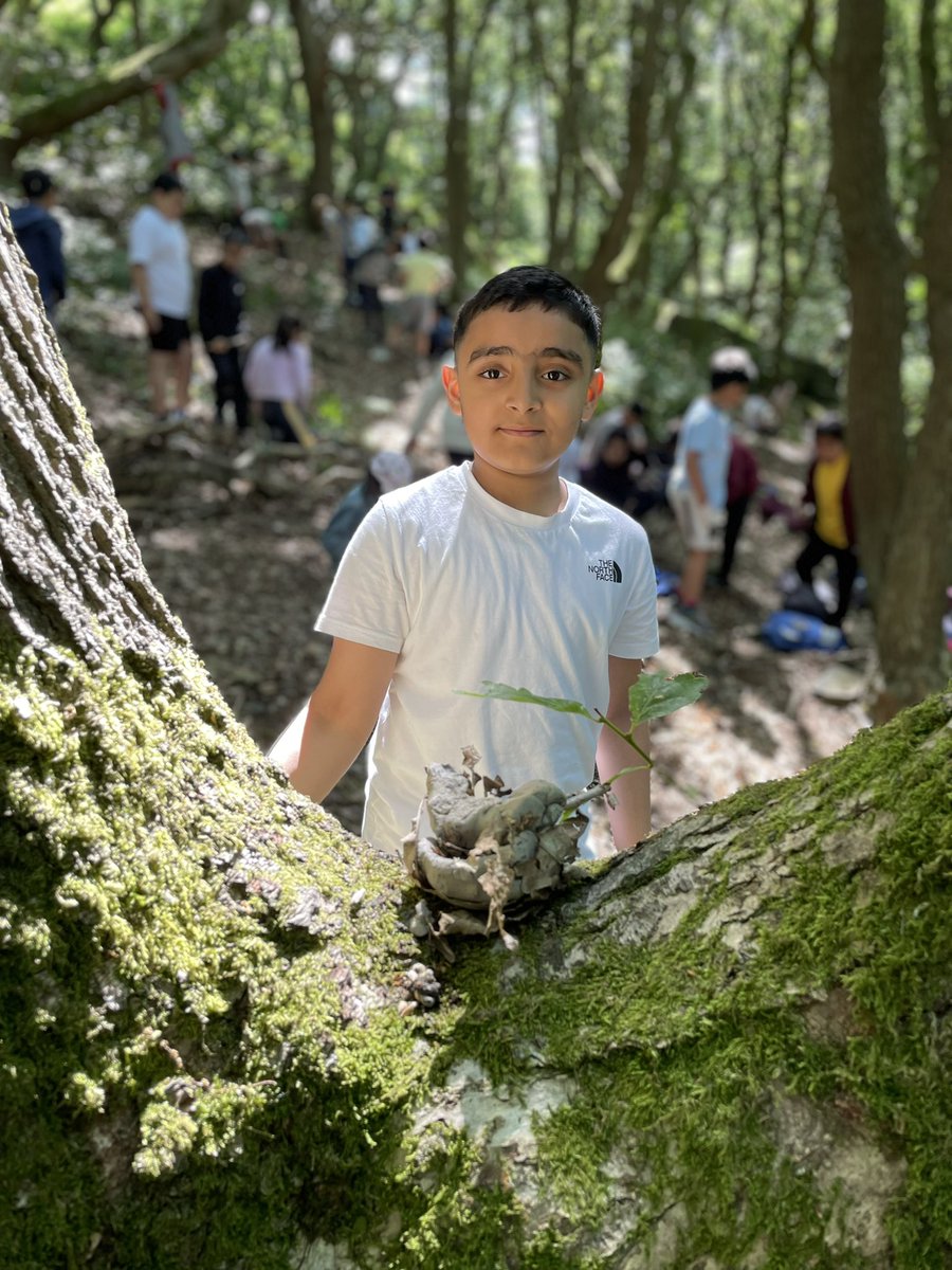 WarleyRoadPri's tweet photo. โ๏ธ๐ฒ What a gorgeous day for a local trip! Year 4 had a great time making animals and shelters in the woods, followed by a picnic and an ice cream at the park ๐ฆ๐ชถ๐ชต #ichallenge #art #physicalactivity #localvisit #halifax #teamwork https://t.co/58pJMaMb7I