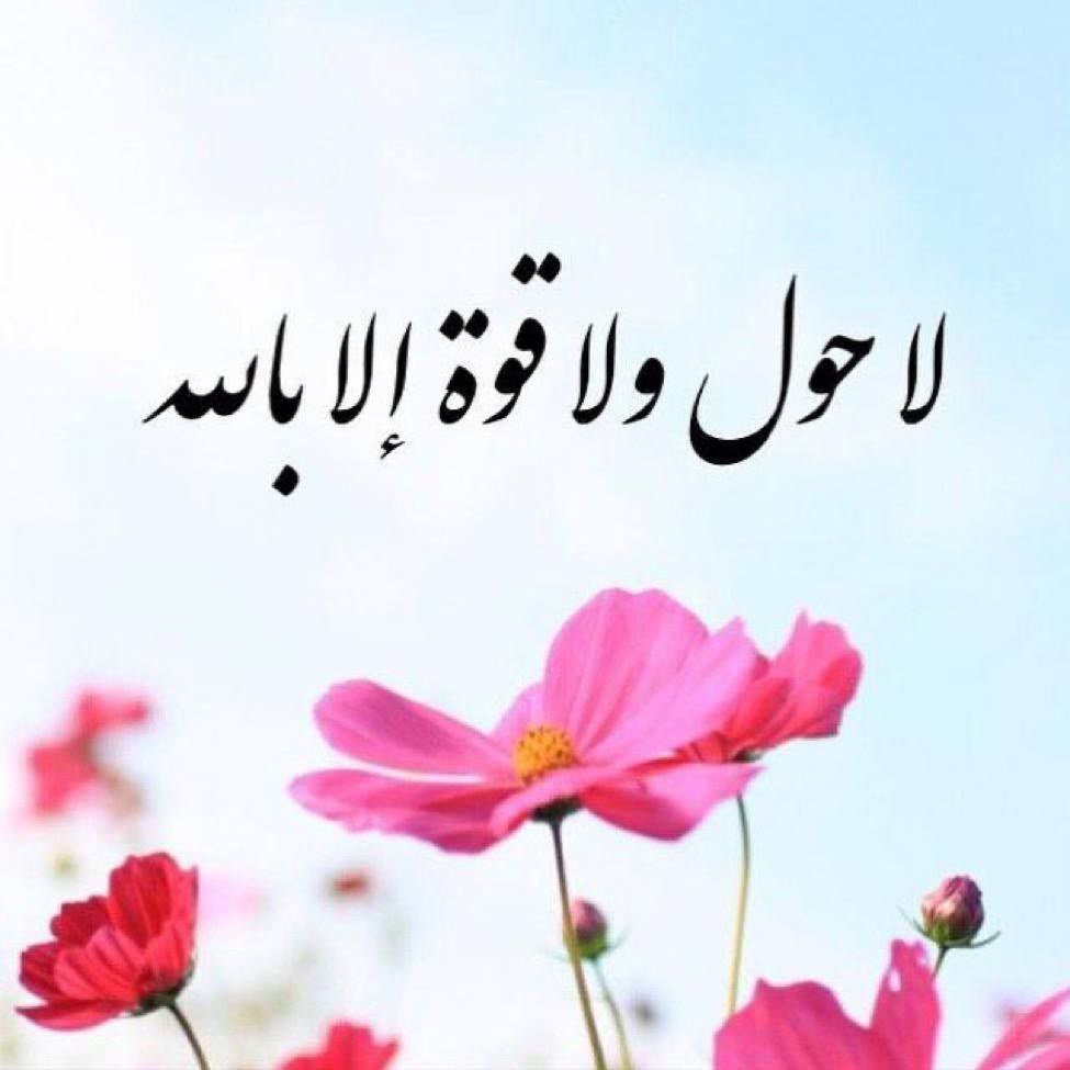 صالحه الحربي tweet media