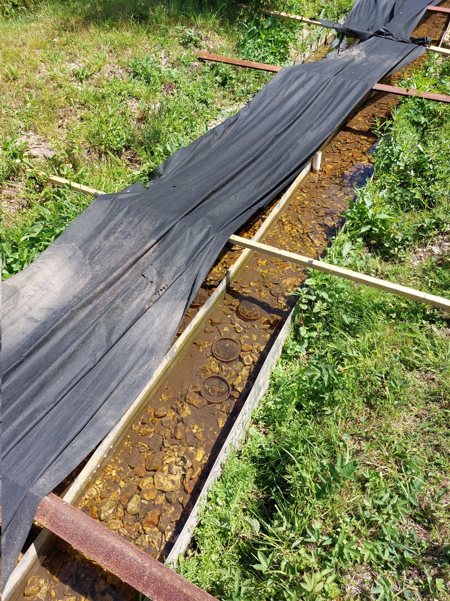 mathers_kate's tweet photo. Gearing up for the big day tomorrow when our #UKRIFLF fine sediment experiments start in vein with the 'science' part! Looking good after their 21-day colonisation period! https://t.co/MqZEsHIcGU