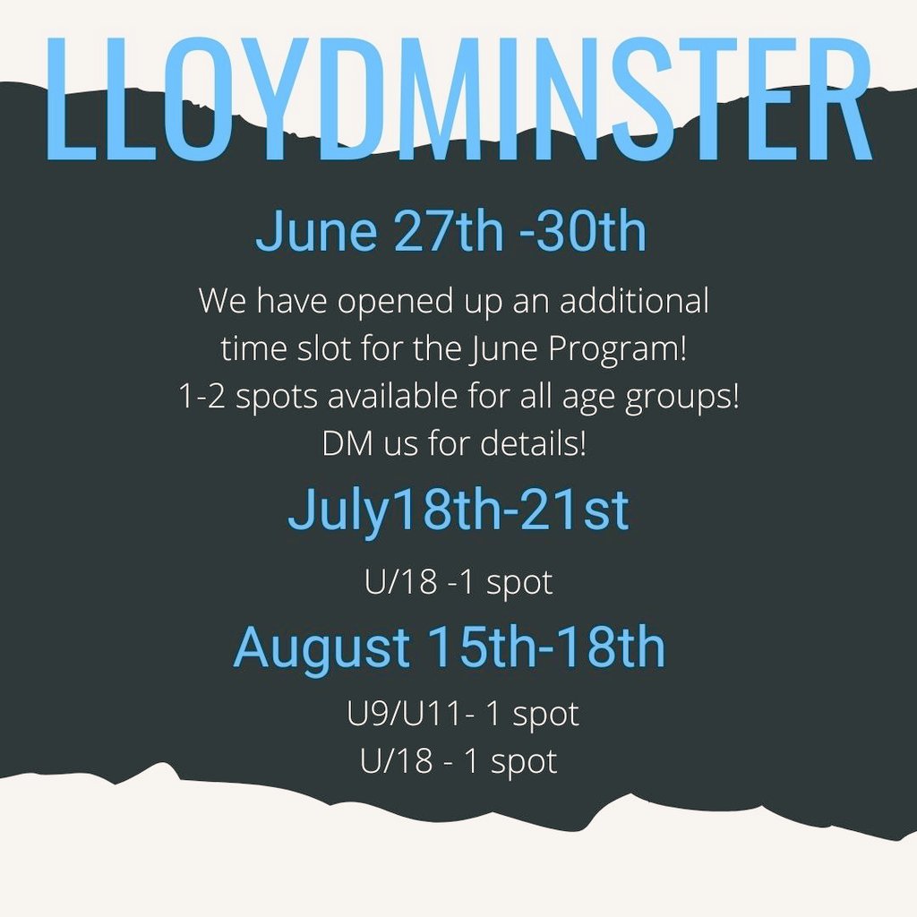 Making Stridz tweet media