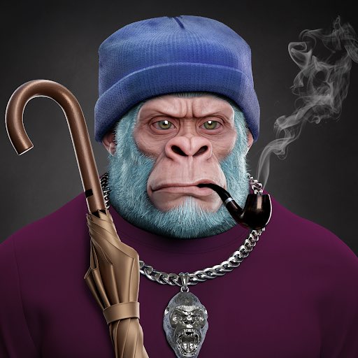 wtfsnnft's tweet photo. Wherever you see a Supreme Kong you see a leader!! 🫡

Love my @supremekong brothers and sisters for LIFE!! ❤️❤️❤️ #KONGSEASON EVERY SEASON!!! 🔥🔥🔥🔥

Kong in when you can, the Supreme Kong Troop is getting stronger by the day!!! 💯🦍🦍🦍🦍🦍 https://t.co/YnCnZ5ZC1l
