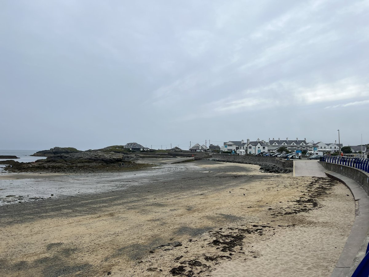 Peter Mayne tweet media