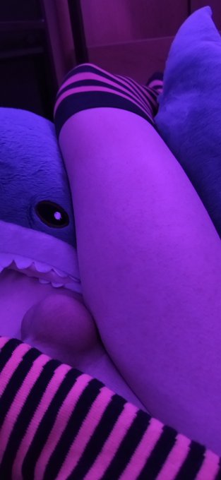 More shark squish!
#Femboy #LGBTQ #Cute #Horny #Lewd #Hot #Thighs #Legs #Balls https://t.co/XIRmYOgc