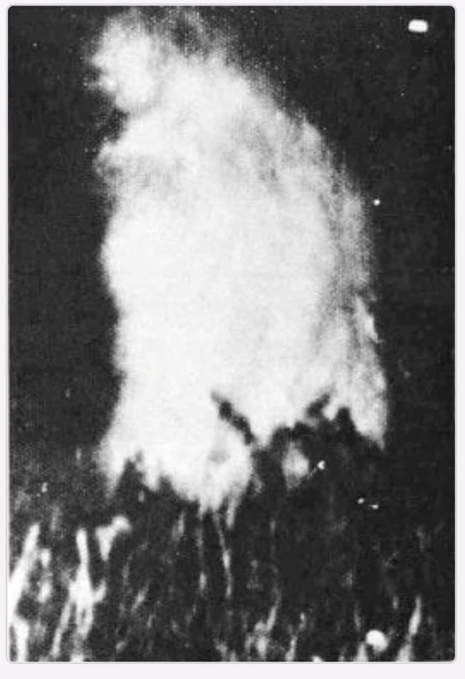 This is the original photograph of the alleged Lake Worth Monster taken by Allen Plaster in 1979. Do you think it's a Bigfoot? A goatman? Or something else?
#lakeworthmonster #bigfoot #goatman #cryptozoology #unidentifiedcreature #weirdhistory