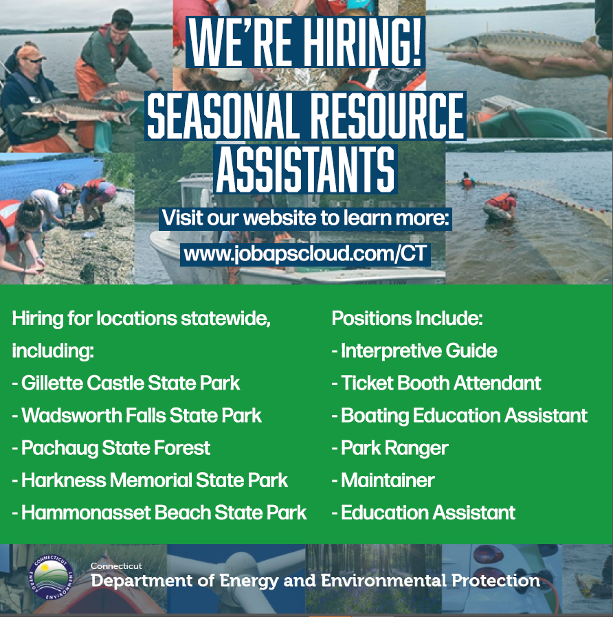 CTStateJobs's tweet photo. 🏞️ @CTDEEPNews is hiring Seasonal Resource Assistants 🏞️
Multiple locations and positions available NOW!
Click the link to learn more: https://t.co/hhLA8ymbWh
#CTDEEP #MakeAnImpaCT #ServeYourState #SeasonalJobs https://t.co/RZTKLo8rVJ