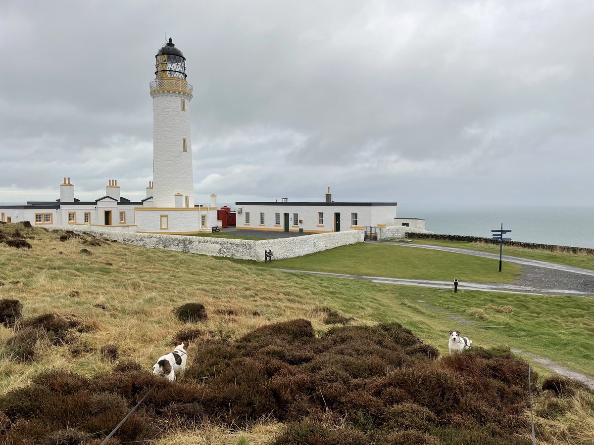 Berwickshire1st's tweet photo. Brilliant @HereScotland that #ScottishBorders &amp; D&amp;G in top 5 holiday destinations &amp;  Coldingham, Kircudbright &amp; Southerness in top 10! From coast to coast it’s worth a trip 
Most popular Scots holiday region announced as 'record number' book staycations https://t.co/dhmjTwds6E https://t.co/xe8XmCz822