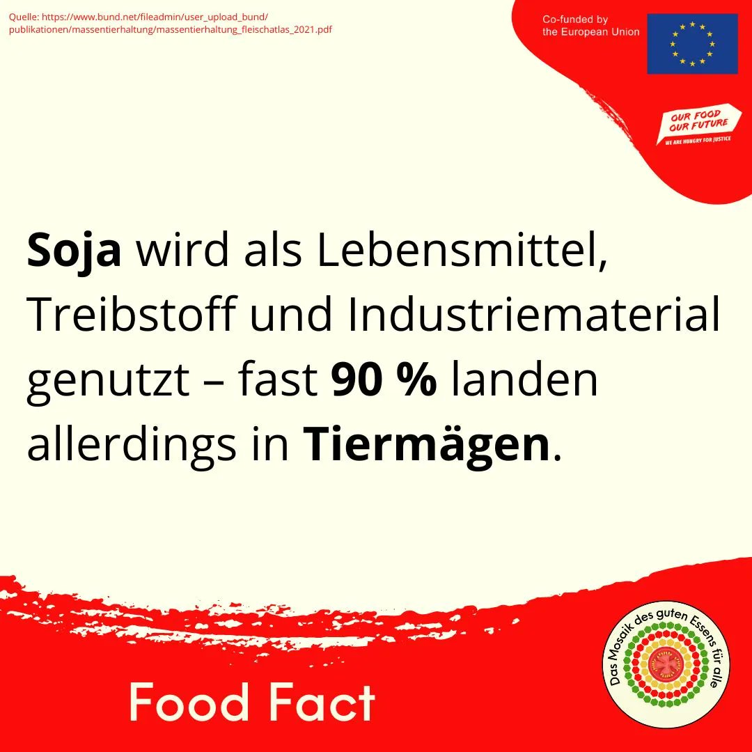 gutes_essen_'s tweet photo. #Soja #vegan #vegatarian #Ernährung #Fleisch #Tierliebe https://t.co/5nPqAFkU6D