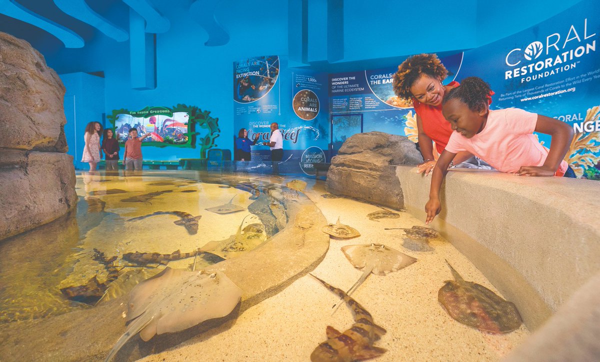 FlyBranson (@flybranson) on Twitter photo Now’s your chance to dip your fingers in the water and make some new fish friends <a href="/BransonAquarium/">Aquarium at the Boardwalk</a>. Sandpapery rays, smooth sharks, lumpy crabs, bumpy starfish and sticky-tentacled anemones are a few you'll meet!
Get to Branson on <a href="/FlyFrontier/">Frontier Airlines</a> LOW FARES DONE RIGHT! Now’s your chance to dip your fingers in the water and make some new fish friends <a href="/BransonAquarium/">Aquarium at the Boardwalk</a>. Sandpapery rays, smooth sharks, lumpy crabs, bumpy starfish and sticky-tentacled anemones are a few you'll meet!
Get to Branson on <a href="/FlyFrontier/">Frontier Airlines</a> LOW FARES DONE RIGHT!