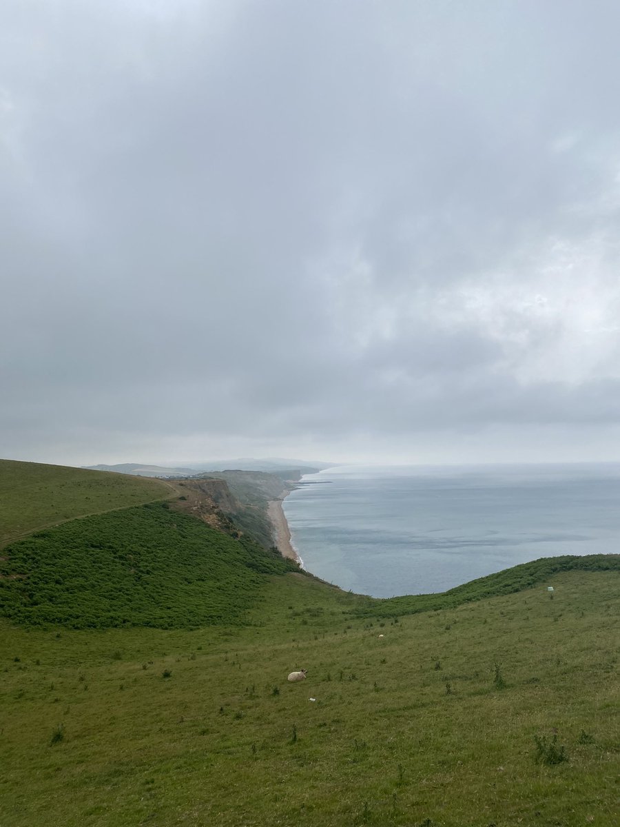 LouiseWolsey's tweet image. Thanks @samparrett1 a good day, moving from the urgent space to the important. Time for reflection and thinking about the future and contributions from our team. Mental prep and time to think while training on the Jurassic coast this weekend paid off! 😊👍#GoldenCap
