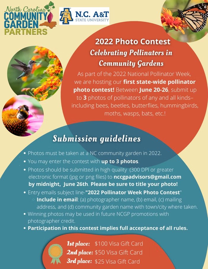 Help us celebrate the importance of pollinators by participating in the Co-op Extension/NCCGP Pollinator Photo Contest! Submit up to 3 photos and win a gift card. Public voting will be June 27 - July 5. Winners announced July 6. See details below. #PollinatorWeek <a href="/ncatcaes/">N.C. A&T CAES</a>