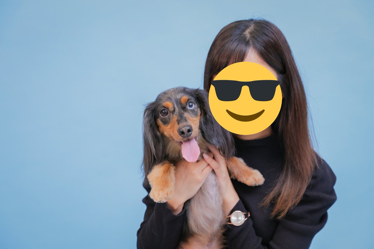 mknik8's tweet photo. 愛犬3才になりました
年々過保護が進むバカ親です🐶✨ https://t.co/cJlqshq43R
