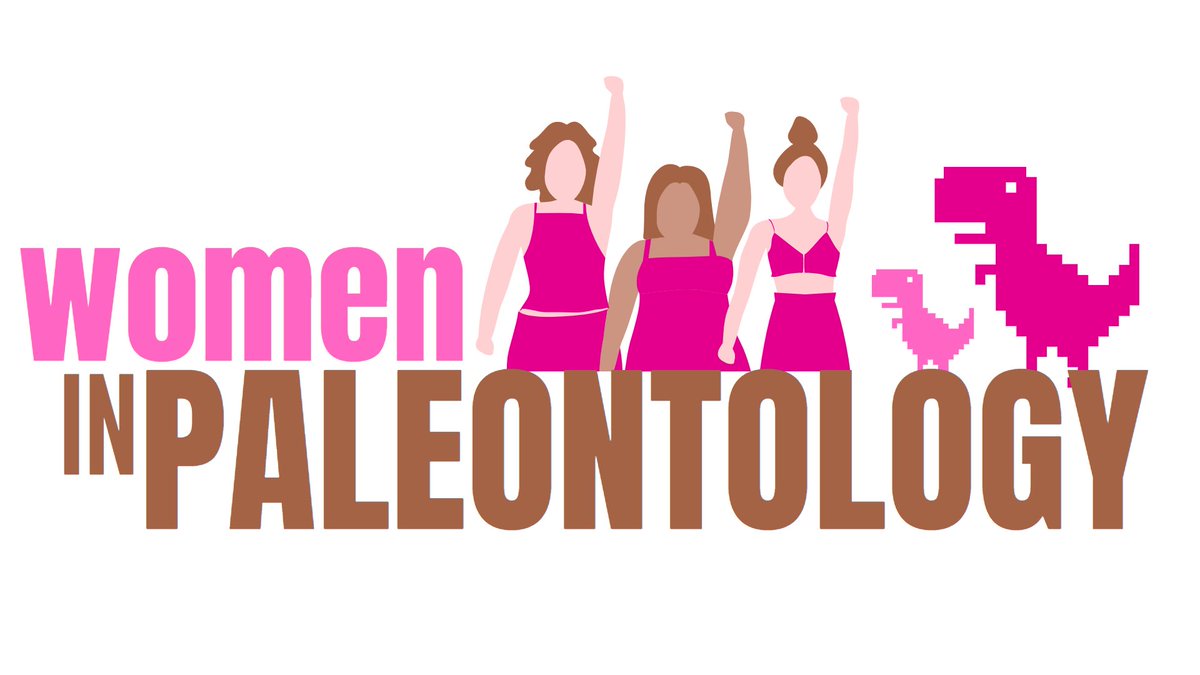 Bruna Poatskievick tweet media