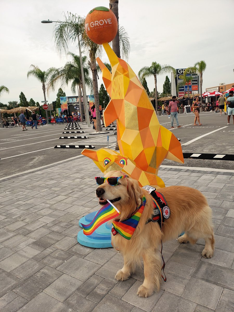 Kobalt_IST_Gold's tweet photo. Showing the #Pride in my colors @KRATEattheGrove this past weekend.
Supporting the LGBTQ+ community.
@GroveAtWesleyChapel @wesleychapel #KRATE #LoveIsLove #ForeverProud #PrideMonth #PrideMonth2022 #Pride2022 #foodallergies #dogsoftwitter https://t.co/RmoOmL7Abv