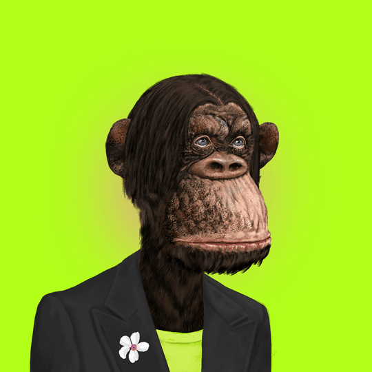 xbayzed's tweet photo. https://t.co/wvar3smnLT
https://t.co/zWZcpgESIN
#exclusiveape #ape #axclusive #bored #boredape #nfts #nft #binancenft #NFTCommunity #NFTGiveaways #binance https://t.co/BBENZUxie3