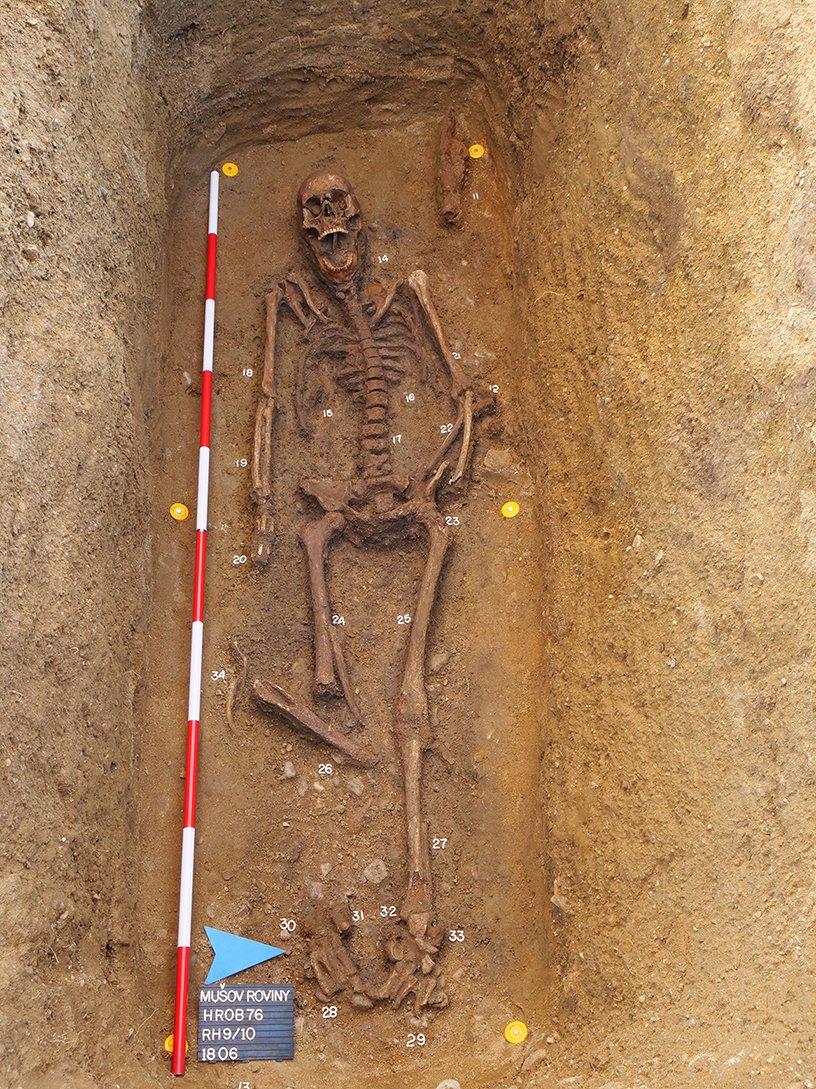 ARUBrno's tweet image. Bojovník z 6. století byl pohřbený se svými dvěma psy na jednom z největších langobardských pohřebišť na jižní Moravě.
avcr.cz/cs/pro-media/t…
@Akademie_ved_CR #archeologie #objev #jiznimorava