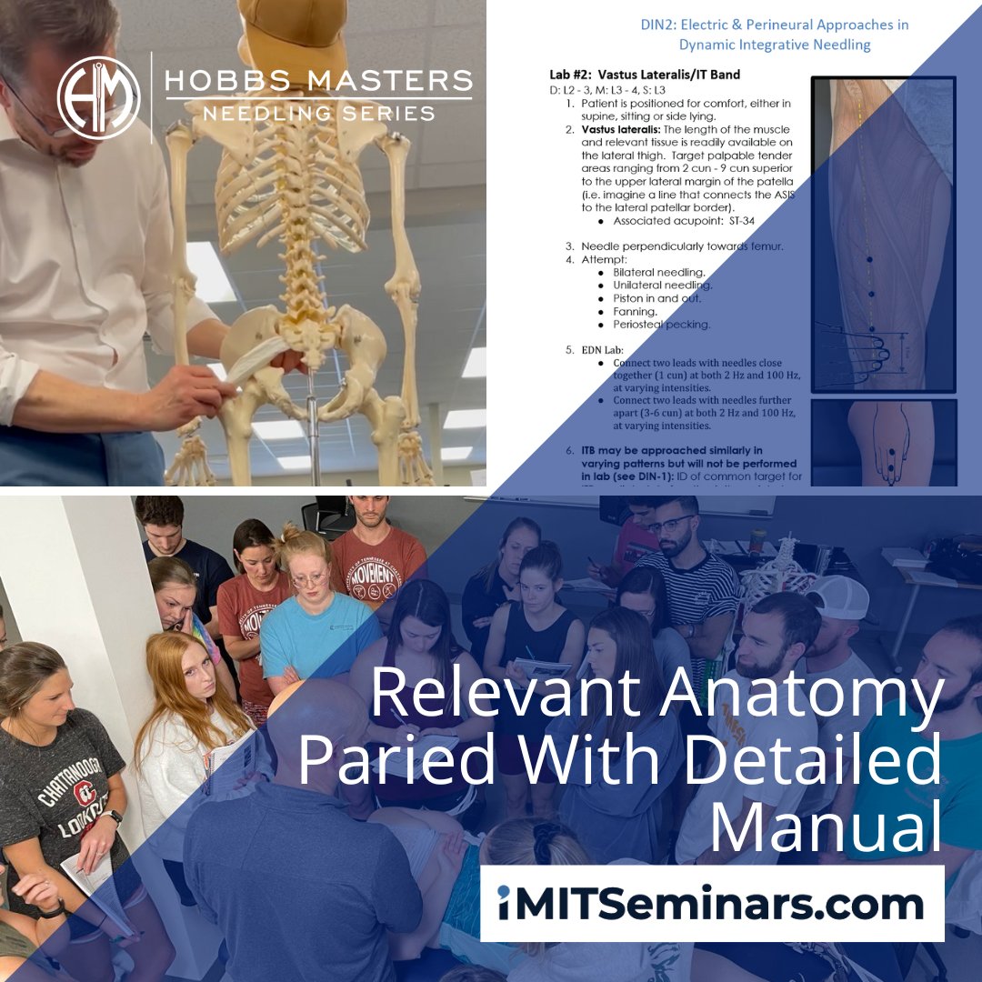 iM.IT Seminars tweet media