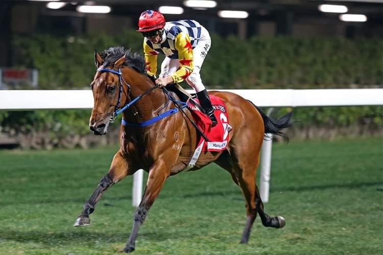 HORSERACING1002's tweet photo. AMAZING STAR (NZ) 2014
(DARCI BRAHMA- BRIGHT ABYSS BY ROYAL ACADEMY)#AmazingStar
B/ Mrs HG Bax (NZ) Sep 10, 2014 Gelding
NWZSEL 19,296 dls
26-7-2-4------9,062,689 dls
Sprint Cup Handicap G2
Dead December 12, 2021 https://t.co/96TRSYah2w