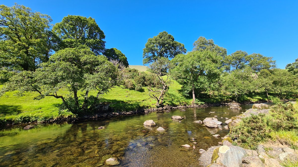 fssbirding's tweet image. Great day around @FSCBlencathra with Redstart &amp;amp; Pied Flycatcher feeding young, fledged Dippers, Crossbills, Golden-ringed Dragonfly, Dark Green Fritillary, Common Green Grasshopper &amp;amp; a few new moths inc Clouded-bordered Brindle &amp;amp; Double Square-spot #biol0007 #FieldCourseFortnight