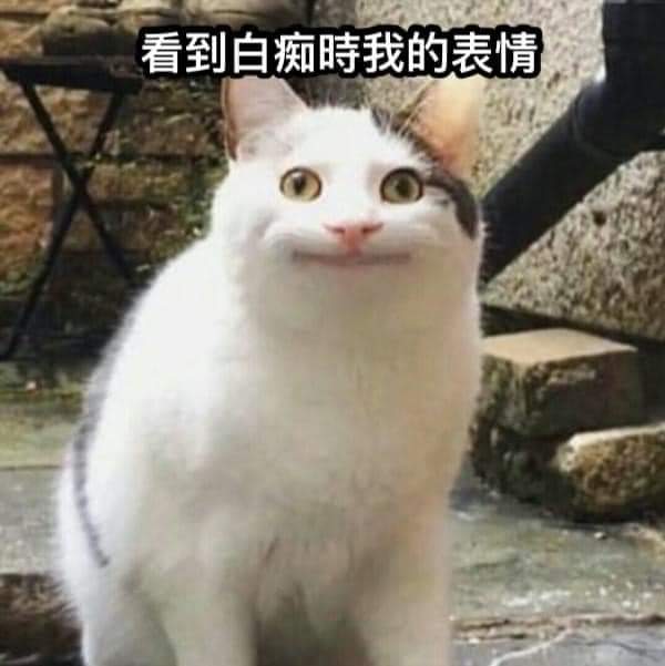 Feather09974765's tweet photo. 沒在罵人，我就只是想放這隻貓（
禮貌ㄉ微笑
Cat Peace https://t.co/hnKUNhejqO