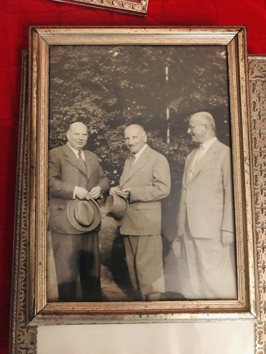 Daniela F Eisenstein tweet media