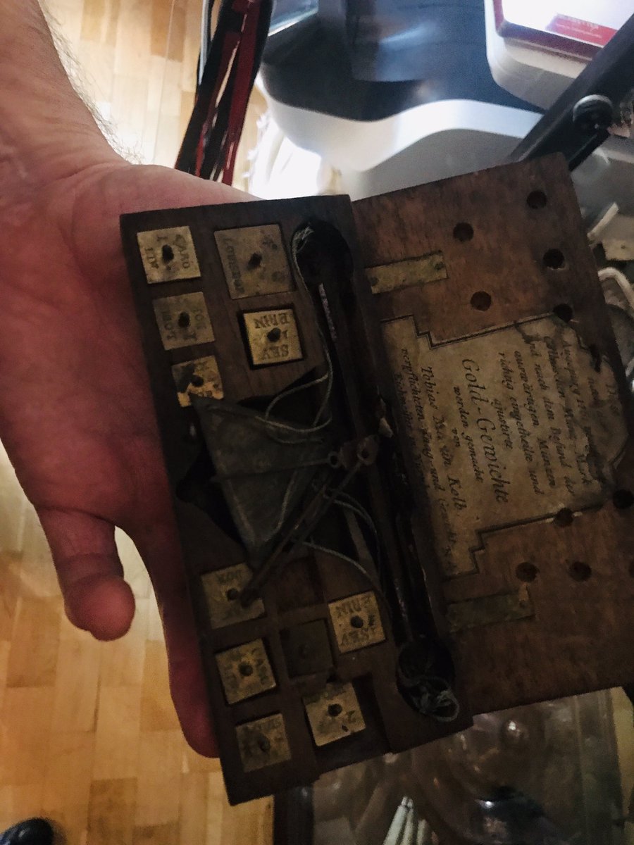 Daniela F Eisenstein tweet media