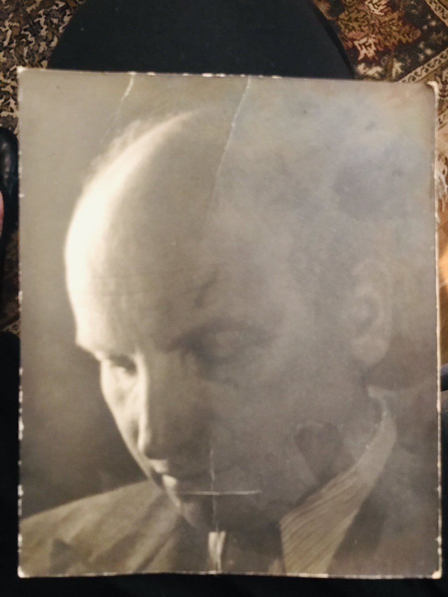 Daniela F Eisenstein tweet media