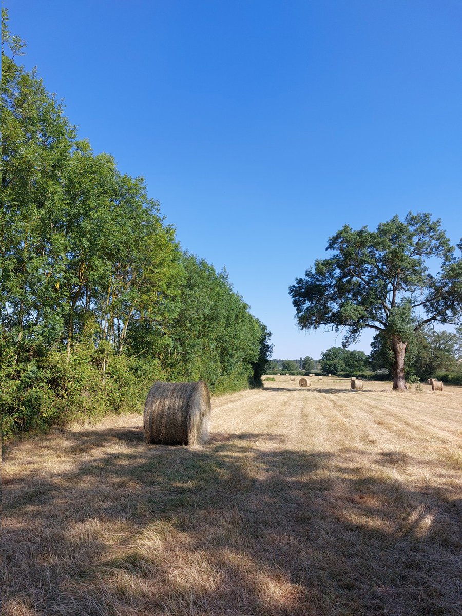 Journée de démonstration du programme <a href="/bovine_eu/">BovINE</a> en <a href="/saoneetloire/">Saône-et-Loire</a> : l'occasion de parler de valorisation et de gestion des haies en plaquettes pour litière, de crédits carbone et de durabilité environnementale et économique des exploitations bovins allaitants!
