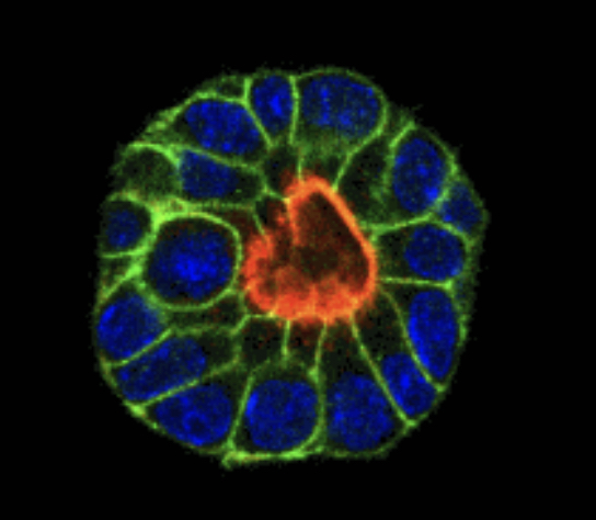 Michael Boutros tweet media