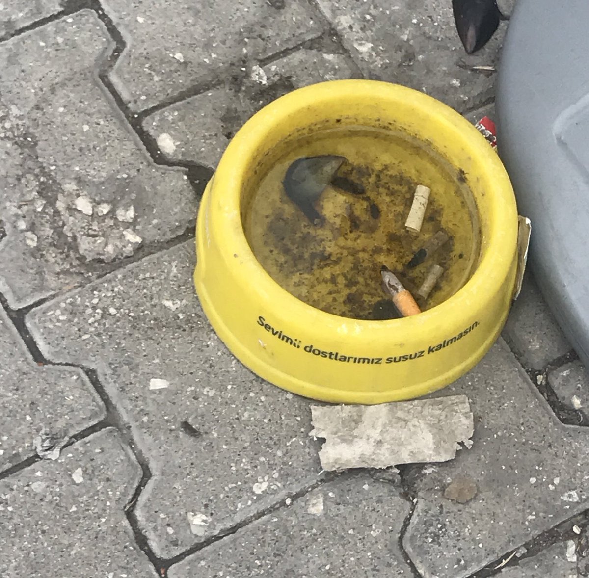 Başıboş insanlar toplatılsın