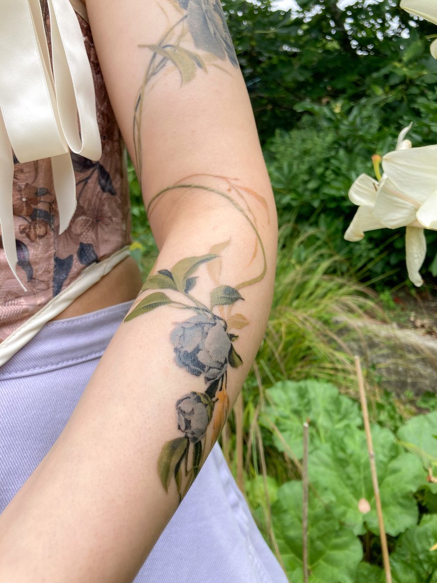 Jasmin Habezai-Fekri ✨ tweet media