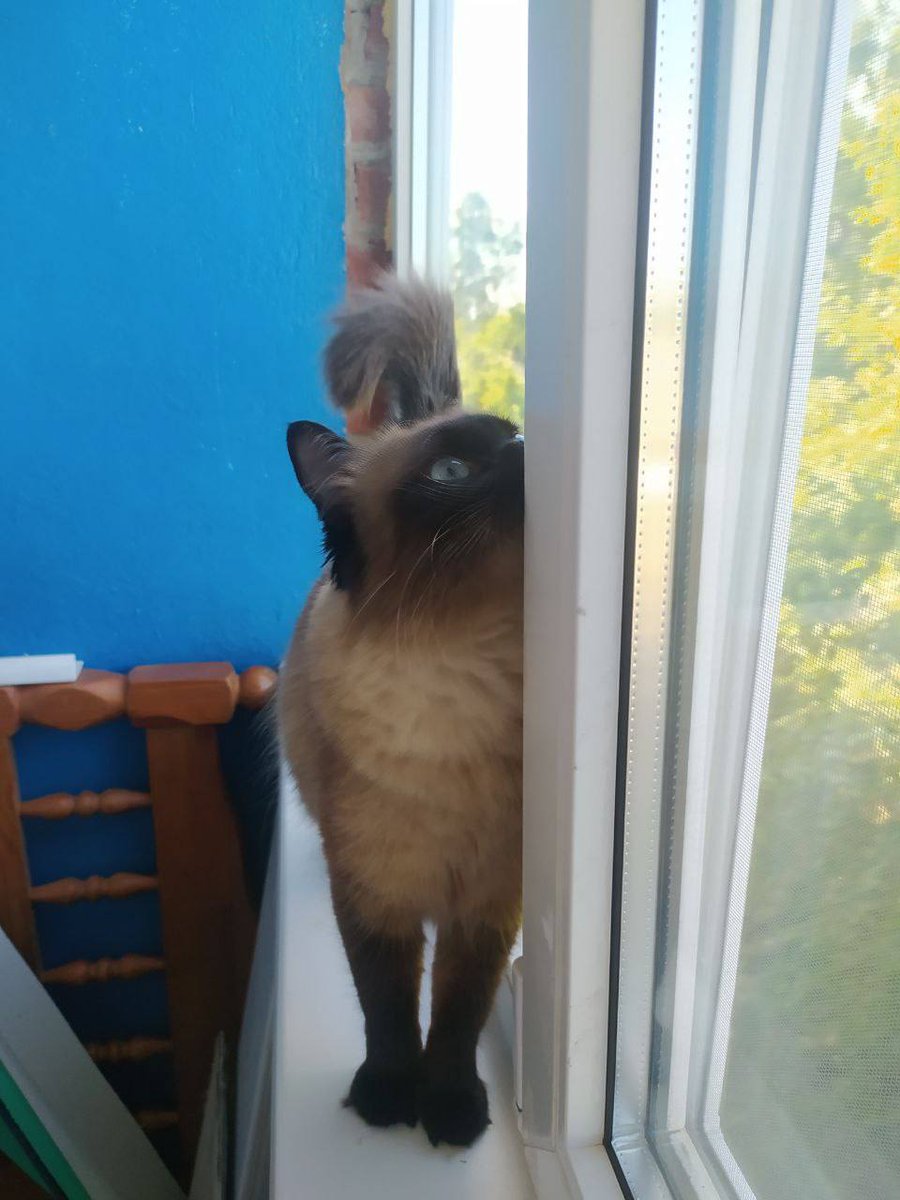 ВЗРОСЛЫЙ КОНТЕНТ on Twitter: \"RT @VladVoice: ️ Прошу репоста: красивая ...