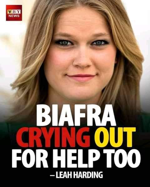 What is happening is that we are been slaughtered daily.