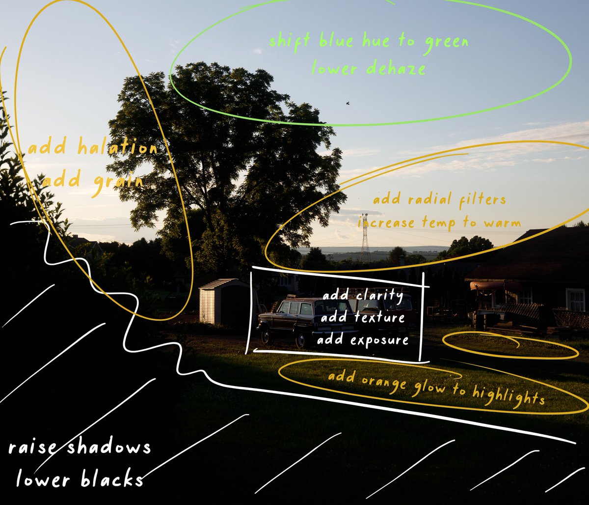 Kyler Steele tweet media